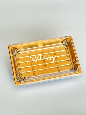 Customize Design Variety Size Non-Slip Plastic Sushi Tray with Lid